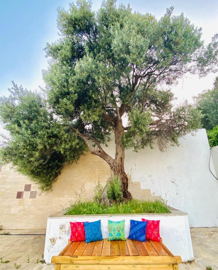 Alacati Barbarossa Hotel Cesme Bagian luar foto