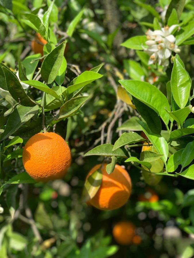 Alacati Barbarossa Hotel Cesme Bagian luar foto